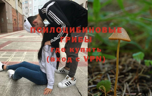 первитин Алексин