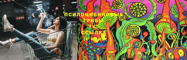 2c-b Алексеевка