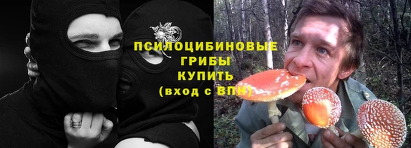 эйфоретик Кукмор